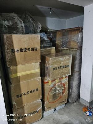 高端日式搬家服务